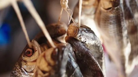 Salted fish hanging dried Stock Footage 63225297