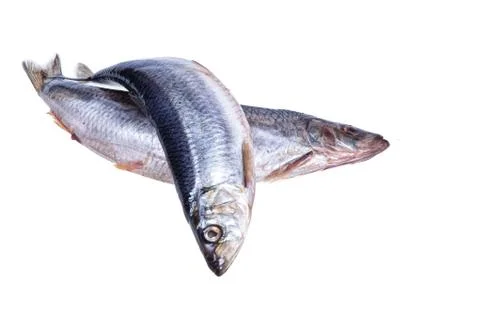 Salted Fish Stock Photos