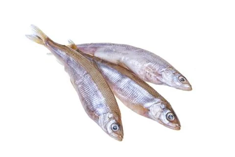 Salted Fish Stock Photos