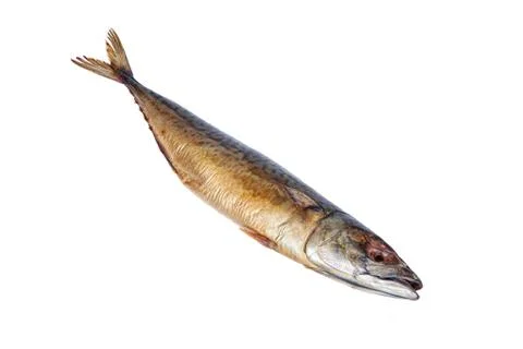 Salted Fish Stock-Fotos
