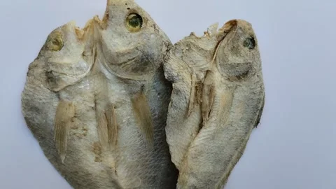 Salted fish on a white background. Stock Footage 285591116