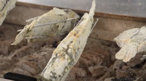 Salted Grilled fish rolling with charcoal stove Video stock 61554640