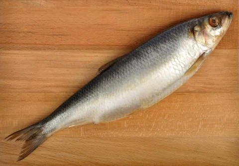 Salted herring Stock Photos