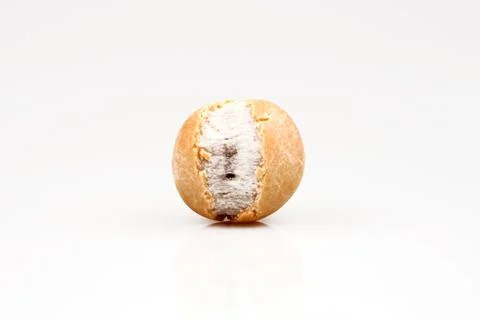 Salted peanuts with a sauce on a white background Stock Photos