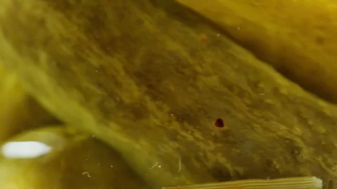 Salted pickles in jar can, Cucumbers preservations, conservation. Salted Stock Footage 240347527