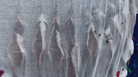 Salted river fish hangs outside under a cloth and flies crawl on it Video stock 306158795