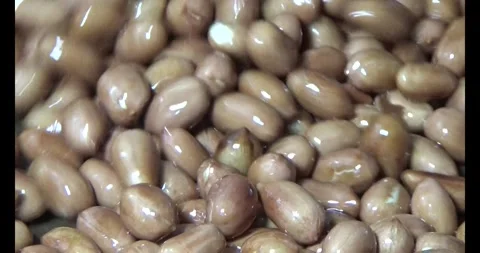 The Salted roasted peanuts Stock Footage 293805343