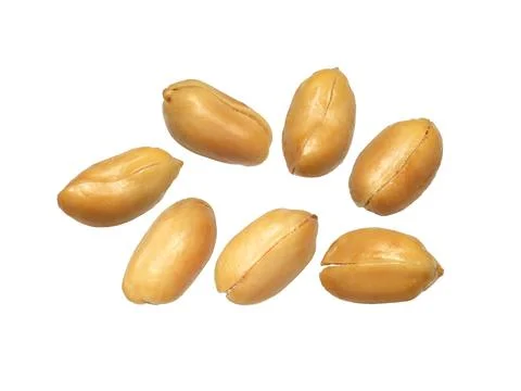 Salted roasted peanuts isolated on a white background 스톡 사진
