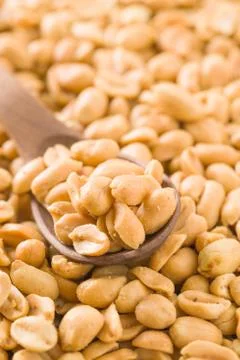Salted roasted peanuts. 写真素材
