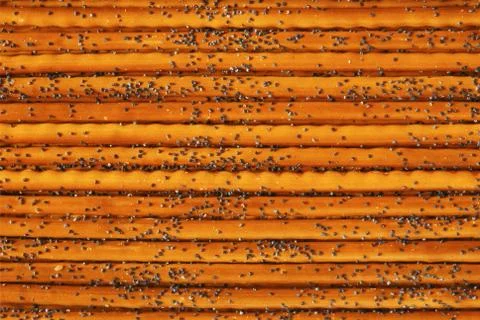 Salted sticks Stock Photos