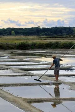 Saltern in marshes Stock Photos