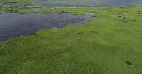 Saltgrass in a tidal marsh at high tide, Galveston Island, Texas Stock Footage