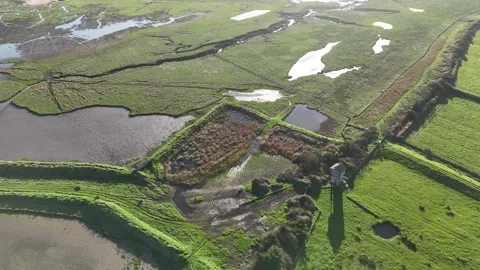 Saltmarsh and Stert bird hide Parrett estuary birdwatching tower Somerset UK Stock Footage 294015110