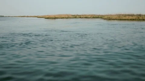 Saltmarsh in Venice Stock Footage 92026638