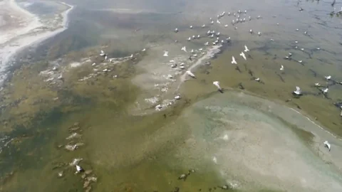 Salton Sea Drone 動画素材 112584067