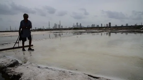 SALTPAN Video stock 98441208
