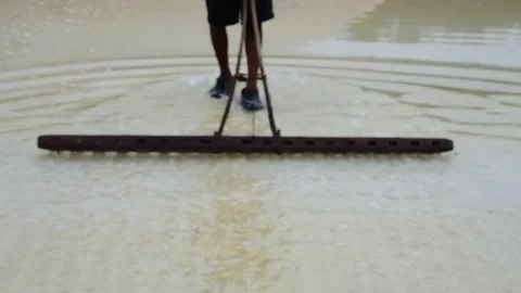 SALTPAN Stock Footage 98441264