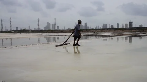 SALTPAN Video stock 98441270
