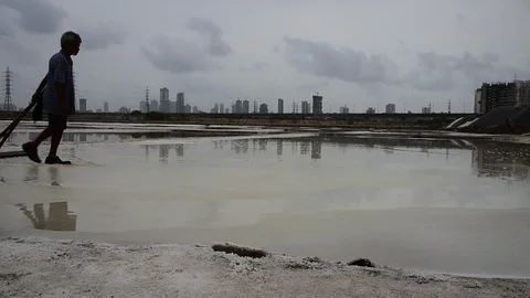 SALTPAN Stock Footage 98441653