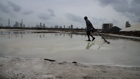 SALTPAN Video stock 98441746