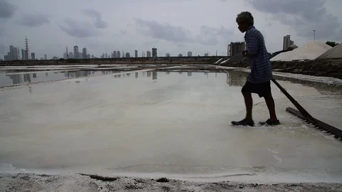 SALTPAN Video stock 98441754