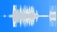 Saltwater Crocodile 1 YearSound Effect