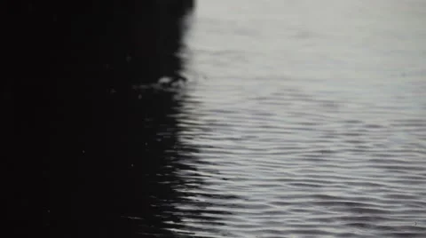 Saltwater Drops At Beach Video stock 67849908