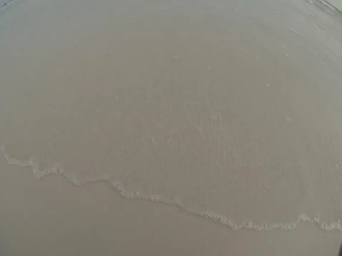 Saltwater Photos