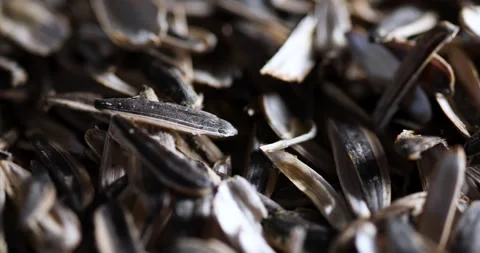 Salty Black Bean Shells Close-up 4K Camera Pans Left 库存影片 280705176