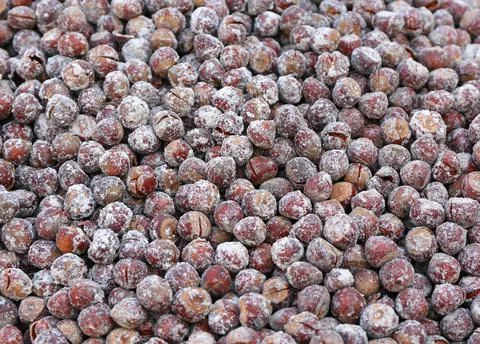 Salty hazelnuts 库存照片