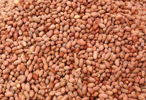 Salty peanuts 스톡 사진