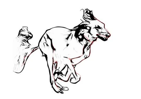 Saluki illustration Stock Illustration