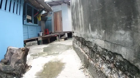 Salum Stock Footage 96073738