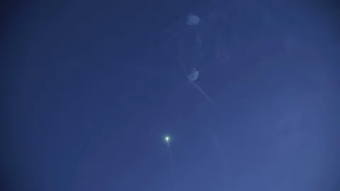 Salute against the blue sky Stock-Footage 81682243