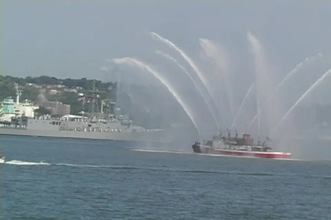 Salute to armed forces Video stock 77500