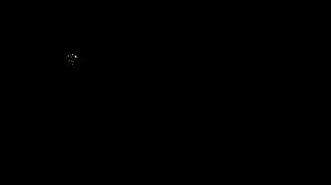 Salute Stock Footage 280055