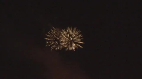 Salute Stock Footage 6092249