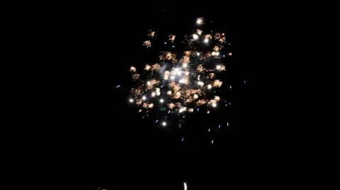 Salute Video stock 11018312