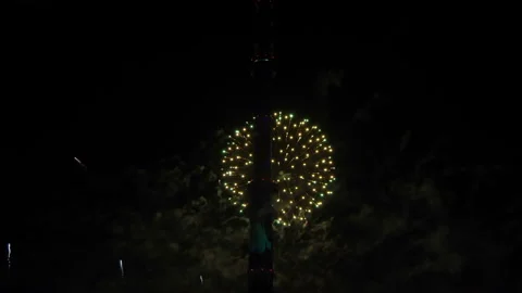 Salute 스톡 동영상 111153099