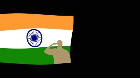 Salute Stock Footage 166892887