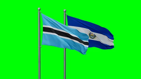 Salvador and Botswana two flags Stock Footage 294249390