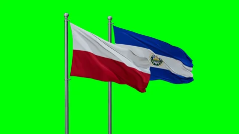 Salvador and Poland two flags Stock Footage 289655446