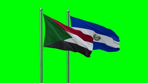 Salvador and Sudan two flags Stock Footage 293736226