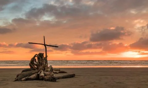 Salvation Tree Stump Stock Photos