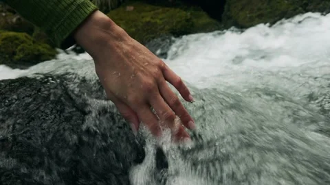 Salzburg, Austria, Stream, Forest Stock Footage 304821720