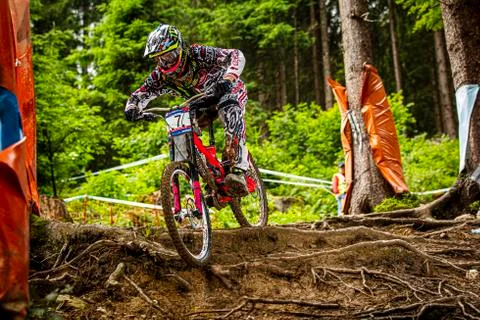 Sam Hill Stock Photos
