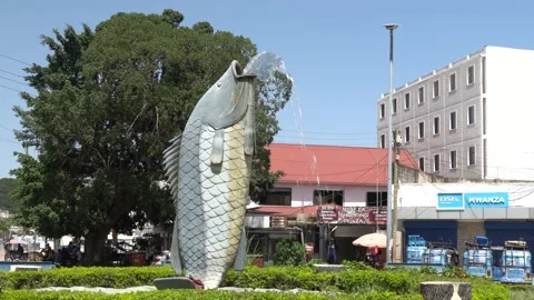 Samaki fish corner, roundabout in Mwanza. Tilapia statue in Tanzania, Africa Stock Footage 232992637