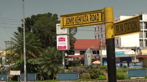 Samaki fish corner, roundabout in Mwanza. Tilapia statue in Tanzania, Africa Stock Footage 232992694