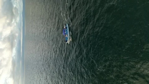 Samana-bay-single-whale-underwater-vertical-05 Stock Footage 341889364
