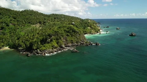 Samana whale viewpoint ocean 04 Stock Footage 329506248